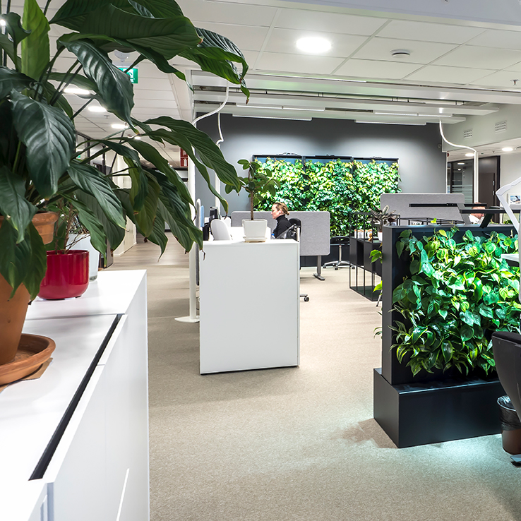 Office Plant Dividers & Room Partitions