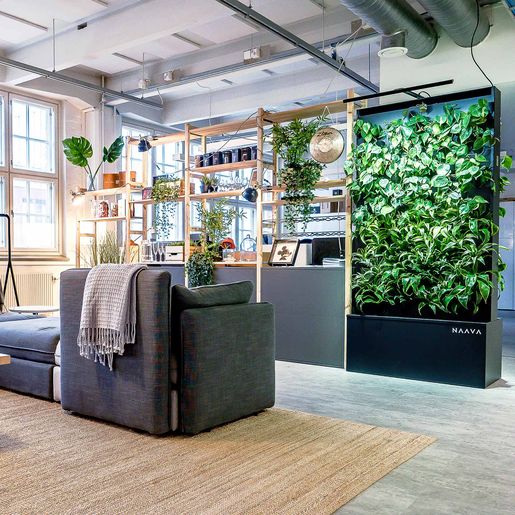 Office Plant Dividers & Room Partitions