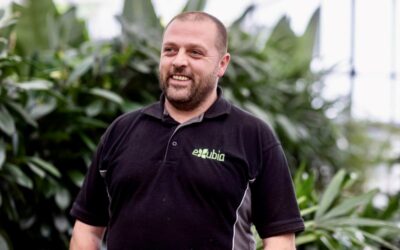 The Benefits of Professional Plant Maintenance: Why Investing in Plant Care Services Pays Off