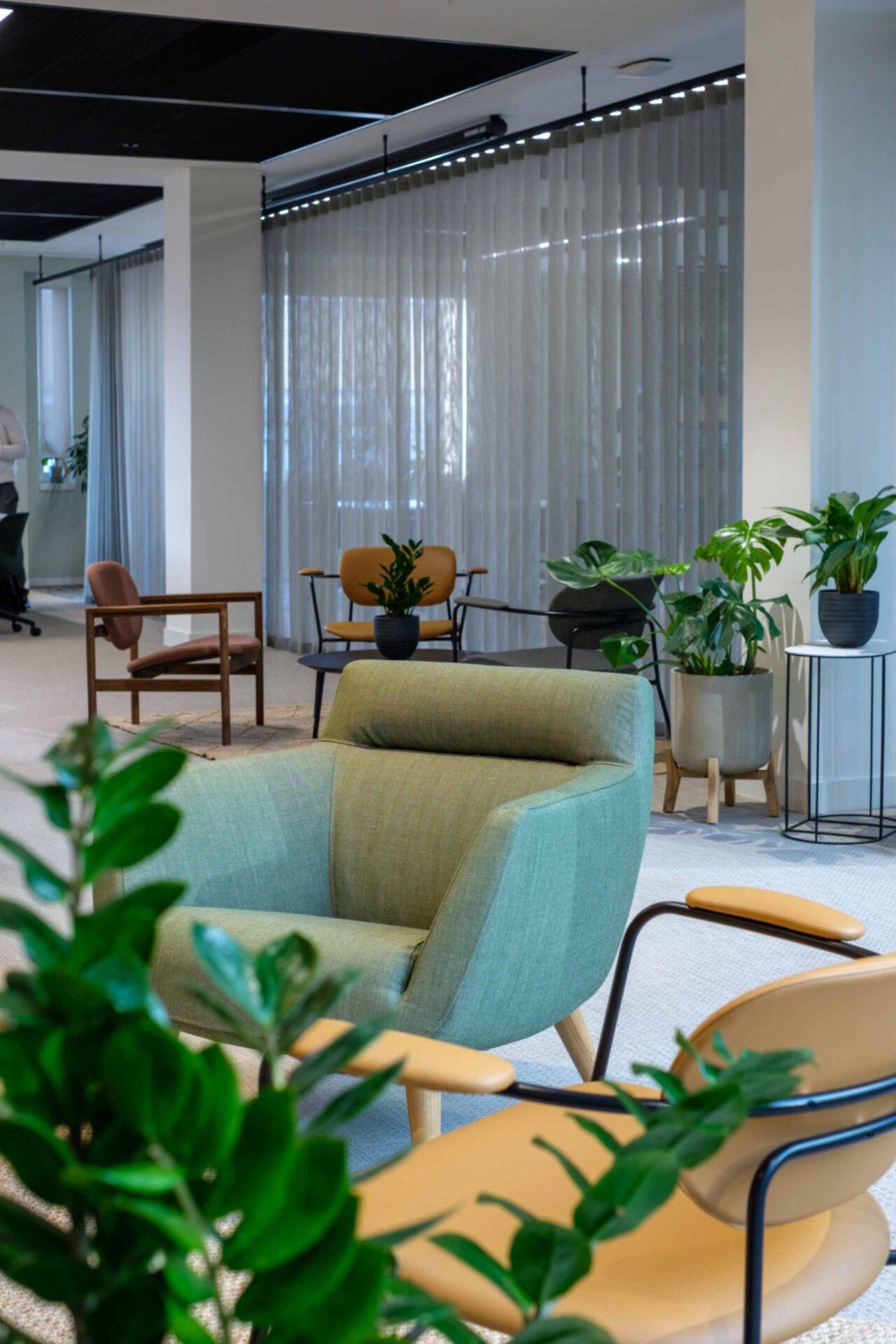 Office Plants London | Office Plant Supplier