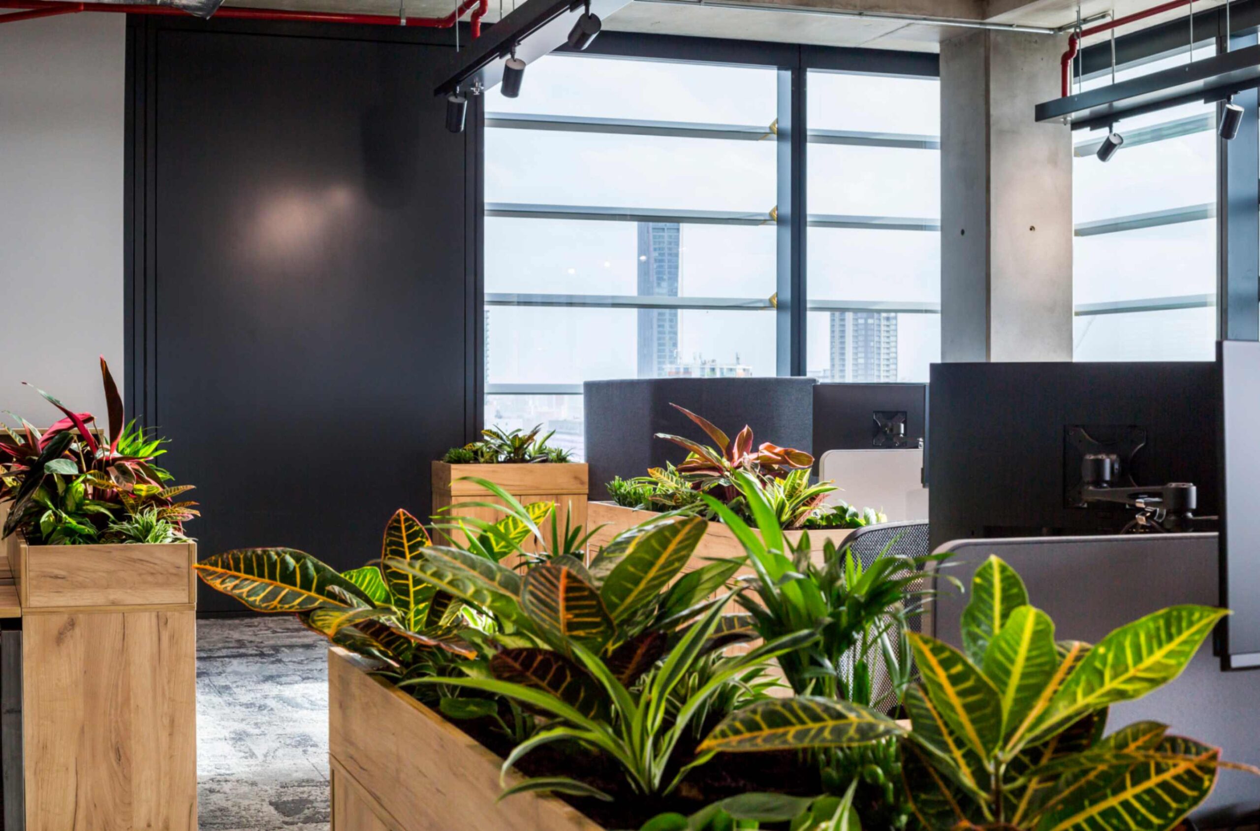 The FNZ project featured many end-of-desk units to add a touch of greenery to the office