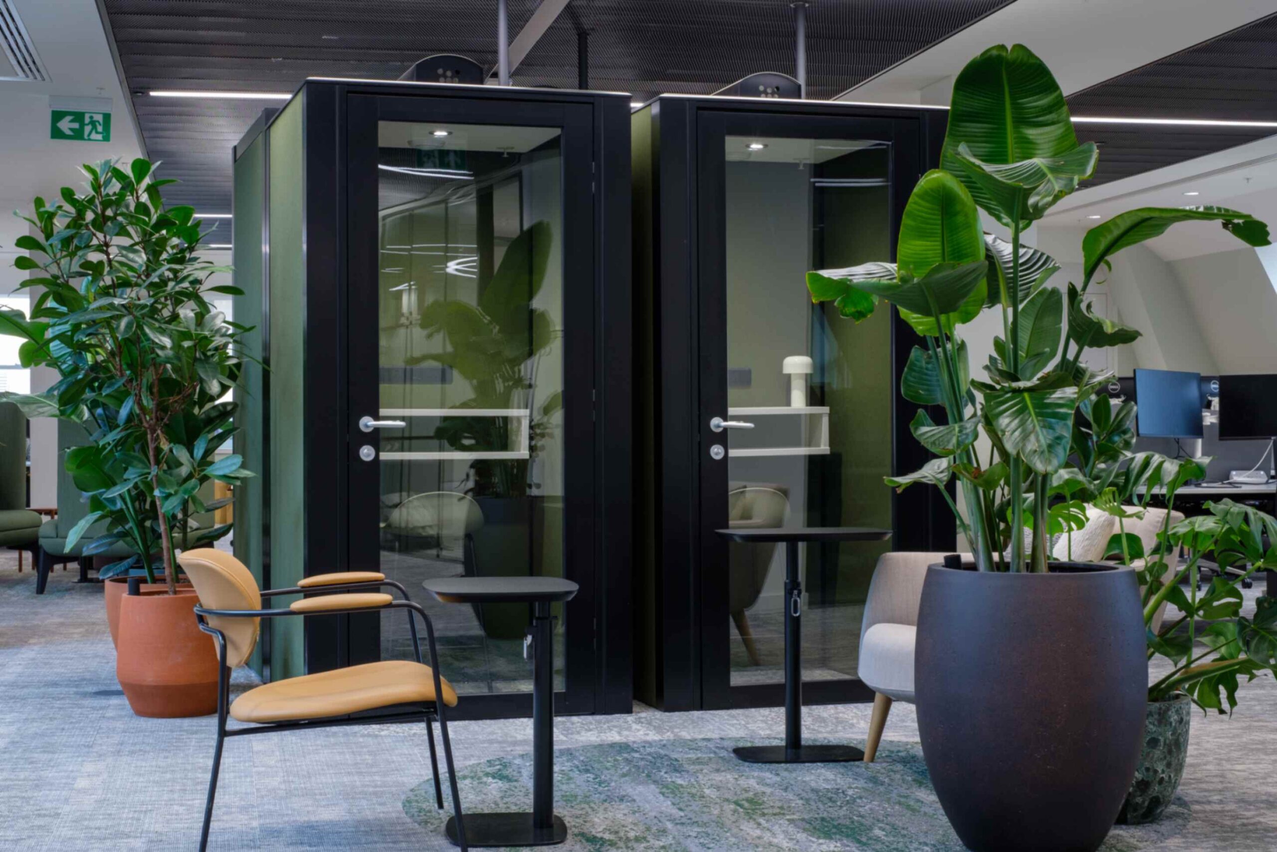 Floor standing plants are a great option if you're looking to enhance your office