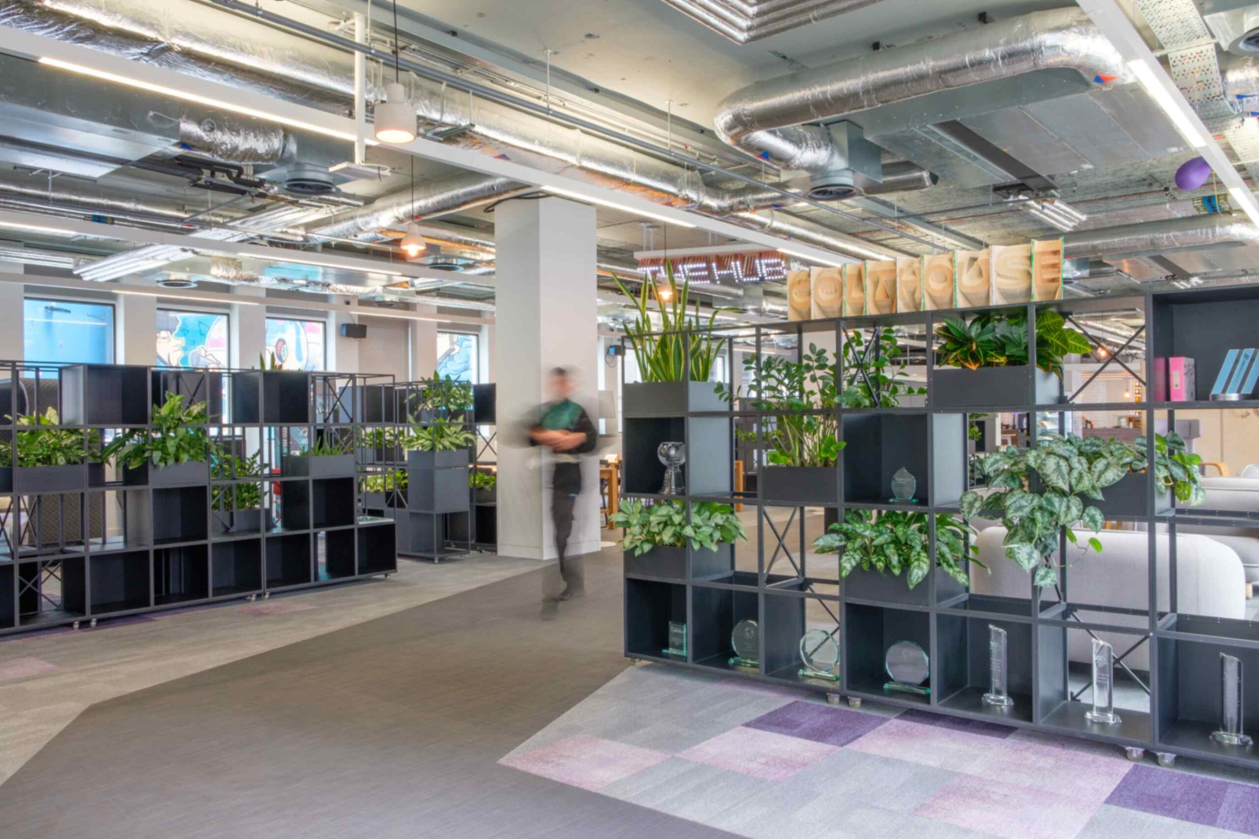 Room dividers using plants are a great way to corner off areas and reduce noise levels in an office