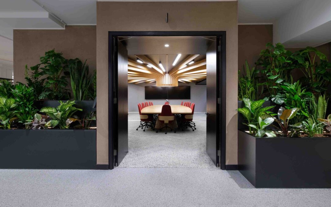 Top 10 Best Plants For Meeting Rooms