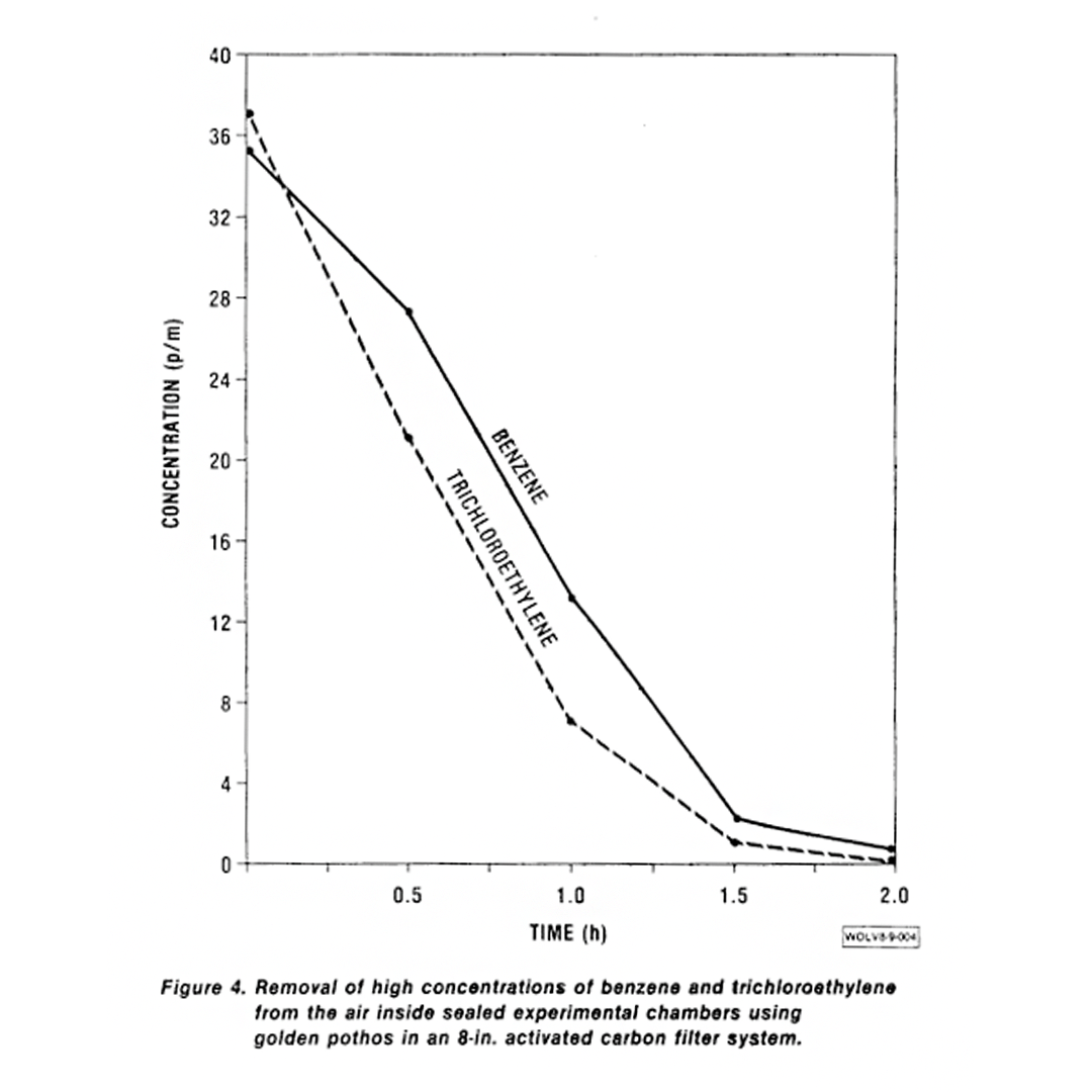 Results of the NASA Clean Air Study